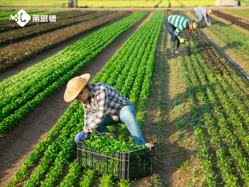 种植大户选2024海角官网首页登录入口养分检测仪，哪些功能才实用？